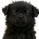 @unserious Discord server icon