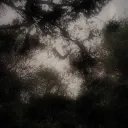 ˚˖𓍢ִ໋🌷͙֒Teens rule!˚.🎀༘⋆ icon