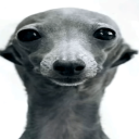 Evil Server Server Icon