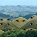 Project: The hills have eyes