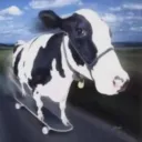 🇨🇴 HRT Munchies [COL] discord icon