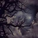 Mooncrest_S2 Discord server icon