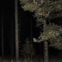 The multiverse of horror Discord server icon