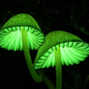 Unnatural Biotics: Tainted Facilities Discord server icon