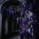 Wisteria Garden Discord server icon