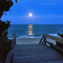 Whale Coast Academy Discord server icon