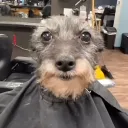 Cozzy Hub — Діскорд Сервер