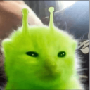 QPR looking!! Discord server icon