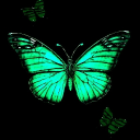 🖤👼HangoutHeaven🖤👼 Discord server icon