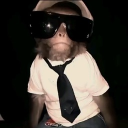 Funky Monkeys Discord server icon