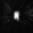 rr Discord server icon