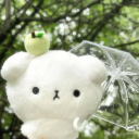 🌿┆Oreo's Grove 🍵 Discord server icon