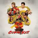 「 ⛩ COBRA KAIs 🐍 」 Discord server icon