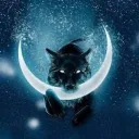 The Dark Moonlight Wolfpack discord icon