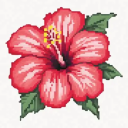 Hibiscus Discord server icon