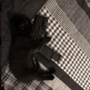 /dopeee Discord server icon