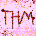 THE HOIIIY MOUNTAIN avatar