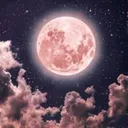The Ones Who Sought The Moon