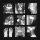 The Commons Discord server icon