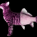Server Icon