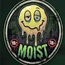 Moist collective 18+