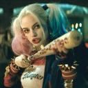 Harley’s Playground