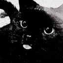 ⊹ ࣪  ˖ ˚ 𝐚𝐧𝐭𝐢-𝐡𝐨𝐧𝐞𝐲 𓂃˖ ࣪  ⊹