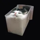 PurrgatoryTeam