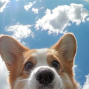 !8 Discord server icon