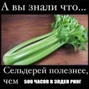 trimdy