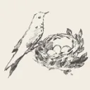 ⋆.˚⭒⋆ The Nest ⋆⭒˚.⋆