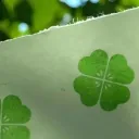 Irish | Hub