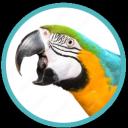 Parrot Planet