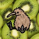 |🥝| LE KIWI |🥝|