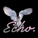 Echo.