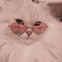 노예할 여성분들 Discord server icon