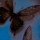 ꨄ bit & boba ꨄ Discord server icon