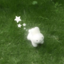 ˚₊‧✩ ˚₊‧ FOREST  ‧₊˚ ✩‧₊˚ Discord server icon