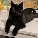 Kittenhelp's server Discord server icon