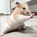 頭がシュッポッポー Discord server icon