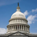 United States of America Discord server icon