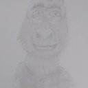 Lauritislandia discord server (bodrio total) Discord server icon