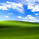 초원 Discord server icon