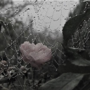 eidolon Discord server icon