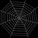 The web