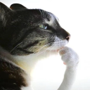 Sol's Community Programming...