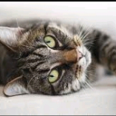 Sugar daddy hunry's server Discord server icon