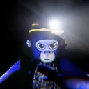 Gorilla Purgatory