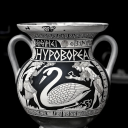 hypoborea