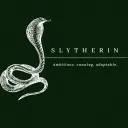 The Slytherin Common Room